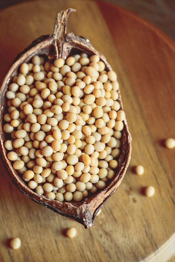 5lb Natto Soybeans For Sale Soybeans For Natto