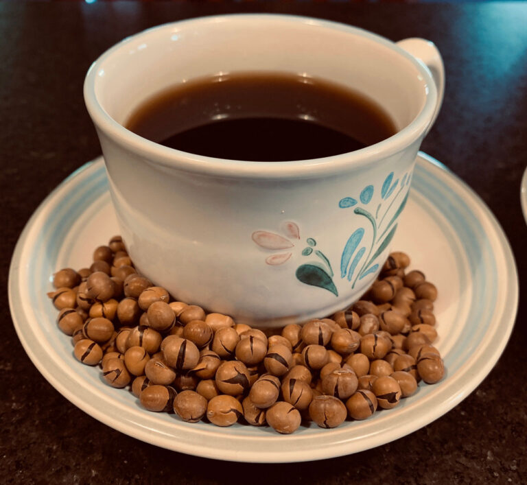 A tea cup filled Laura Soy Coffee, with brown roasted soybeans at the base of the cup.