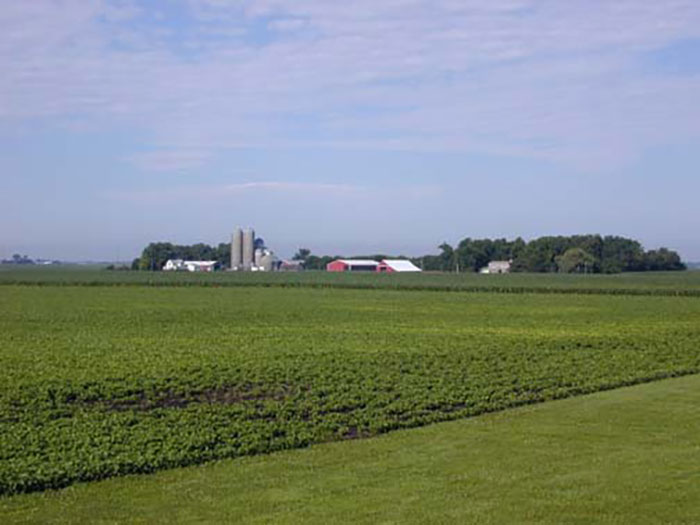 The Chambers Family Farm with the soybean and corn fields.