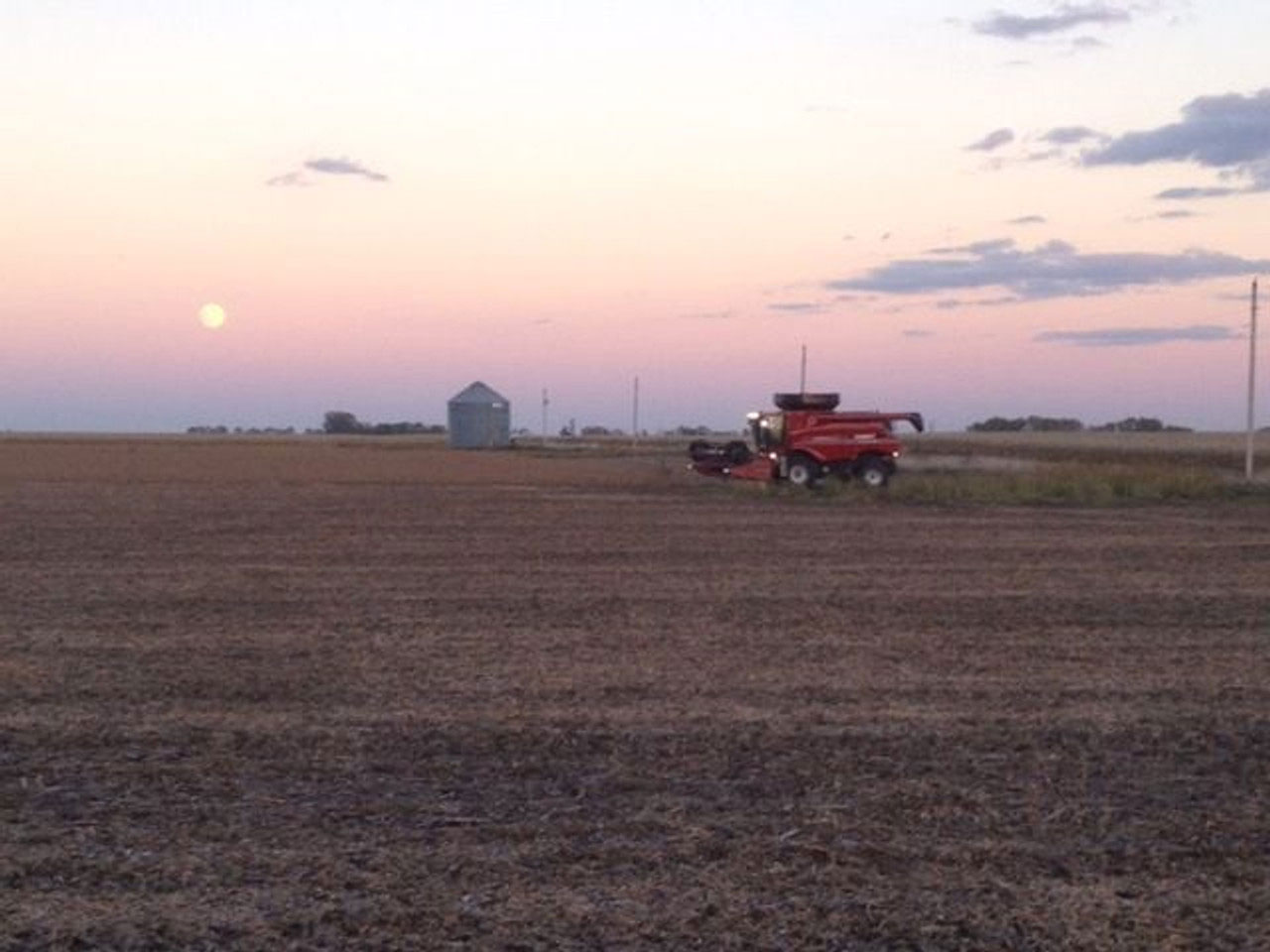 A red combine going through the Laura Soybean fields with sun starting to set.