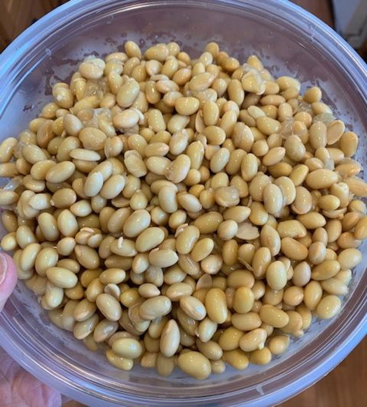 A plastic container filled with pressure cooked Laura Soybeans