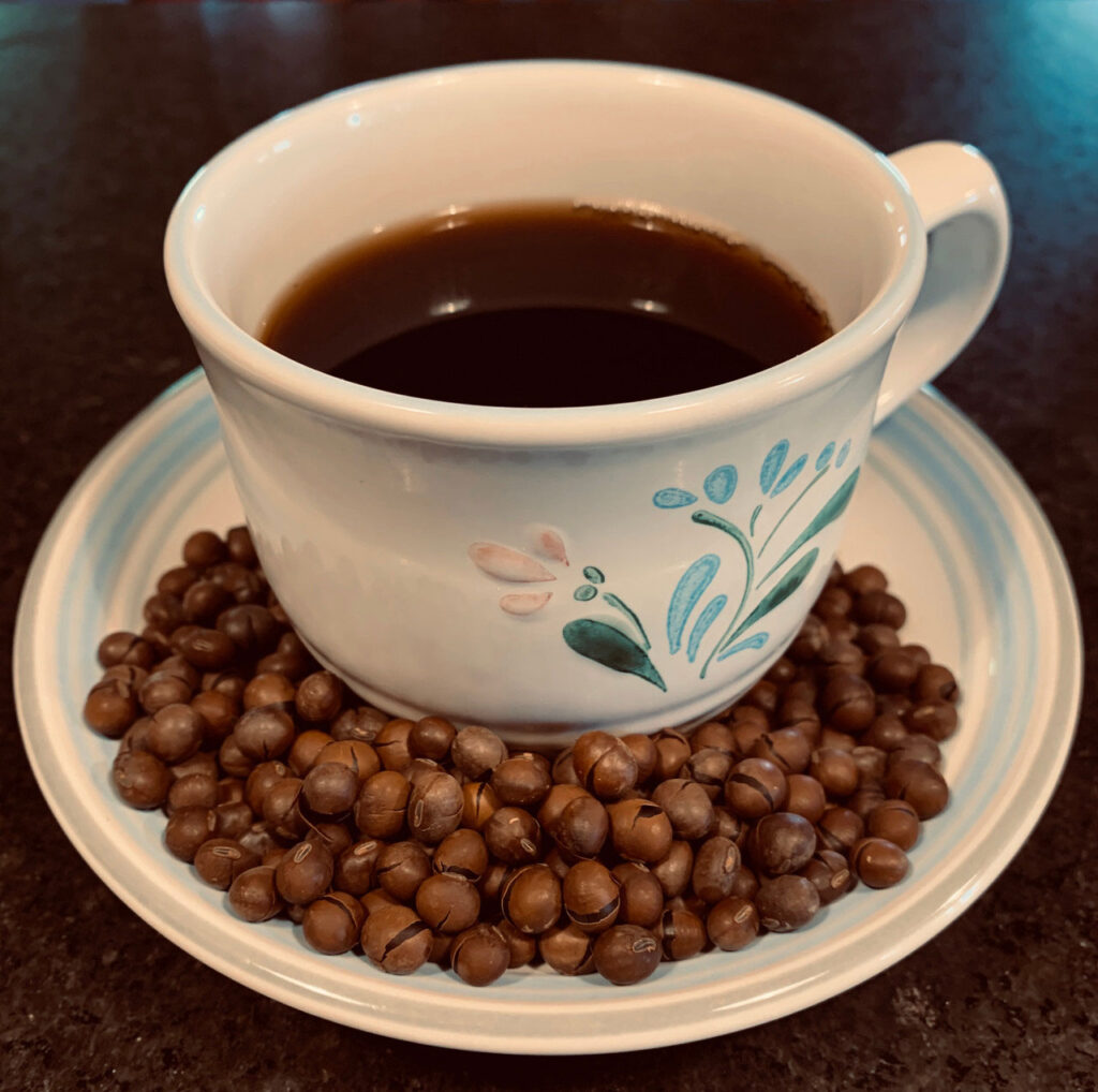 A tea cup filled Laura Soy Coffee, with brown roasted soybeans at the base of the cup.