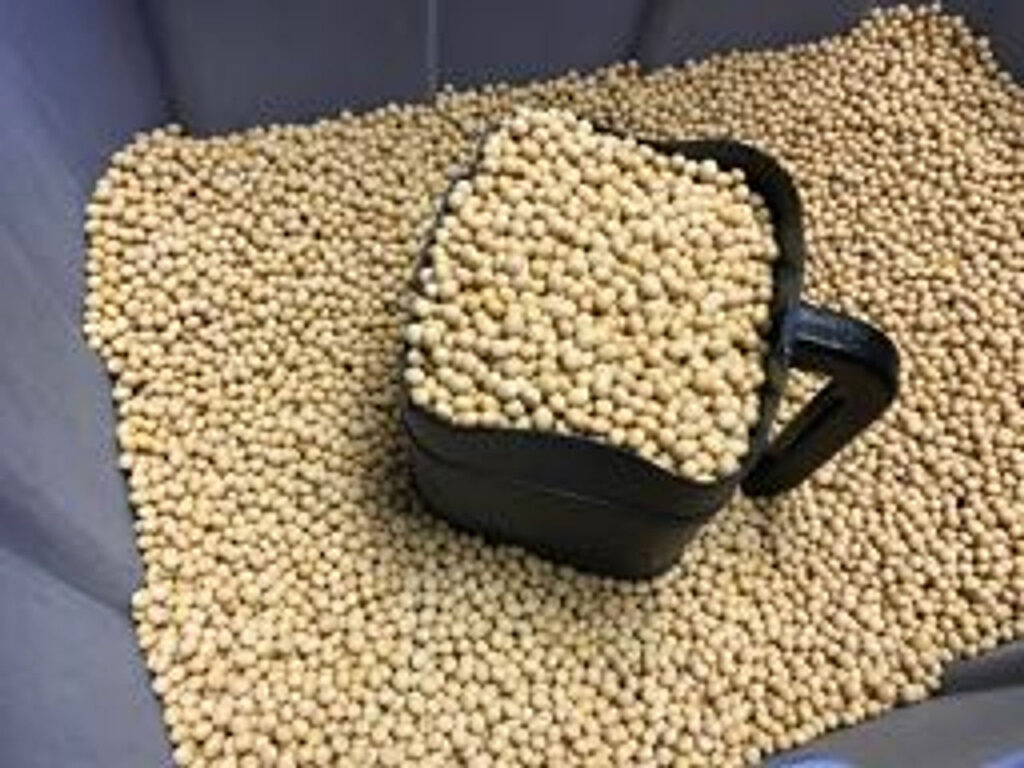 A large black scoop filled with Laura Soybeans in a much larger gray tub, also filled with soybeans.