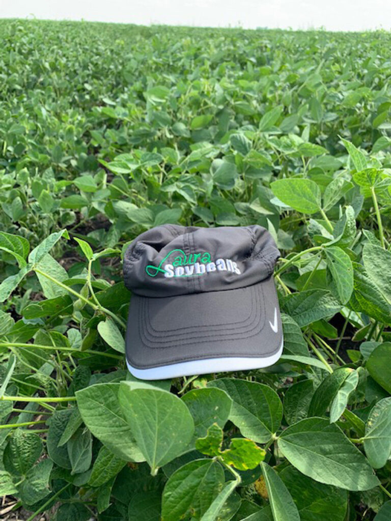 A black and white Laura Soybean hat on top of some tall Laura Soybean plants.