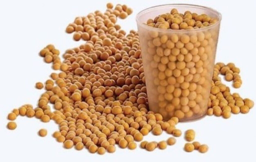 A tall, clear cup filled with soybeans, with more soybeans scattered around the base of it.